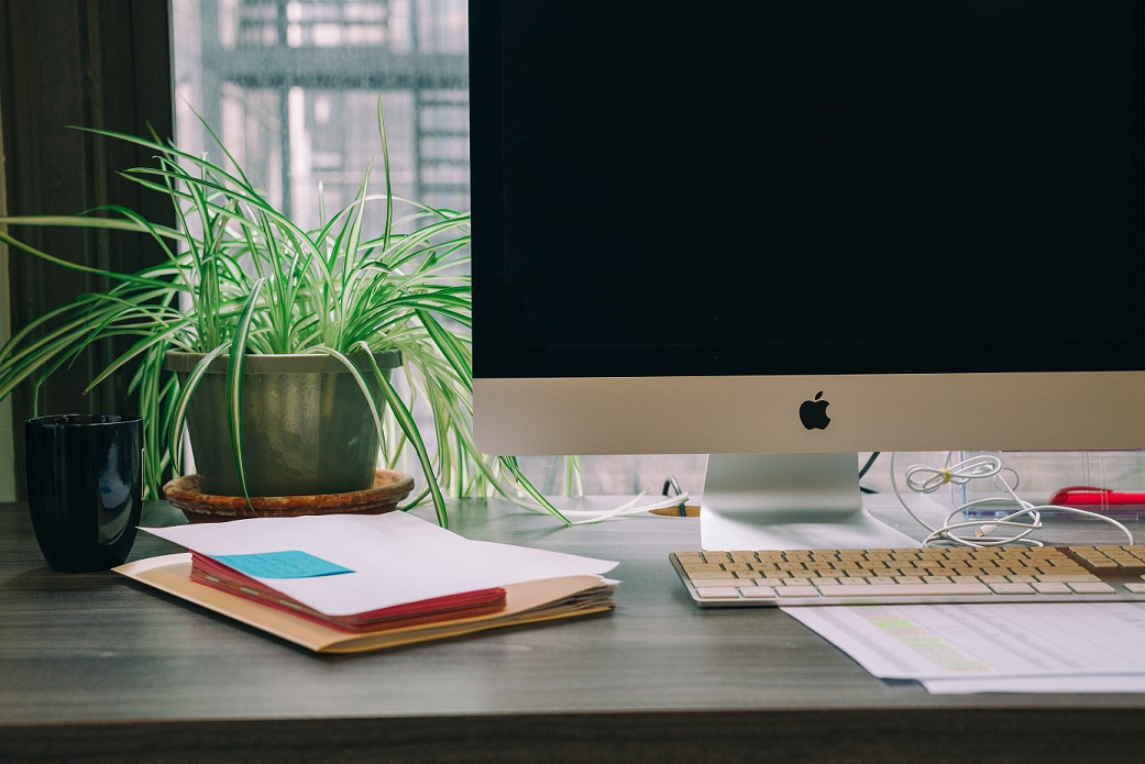 desktop with computer, papers and plant 