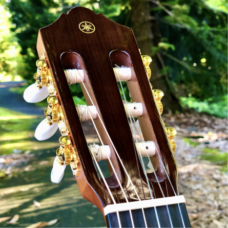 Calvo Neck