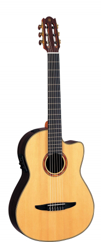 Calvo Solo NCX1200R2