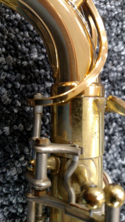 Sax Fig 2a