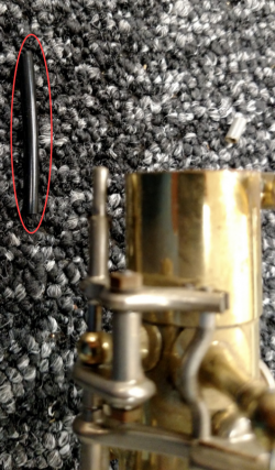 Sax Fig 3a
