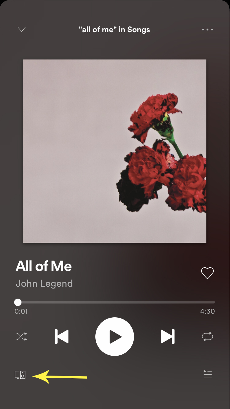 Spotify Select Devices Part 2