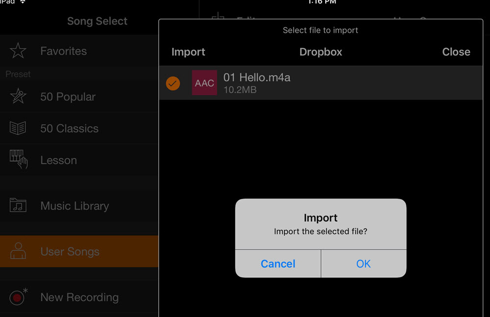 Dropbox import Screenshot of app with a pop up box with instructions for importing files.
