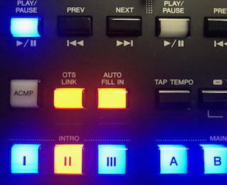 GenosMid1_4_unknown Dashboard with multiple keys lit.