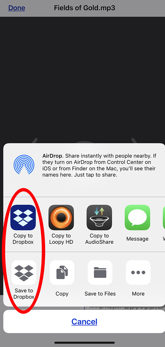 Dropbox smart piano chord tracker body image 11 An image displaying the "copy to dropbox" option.