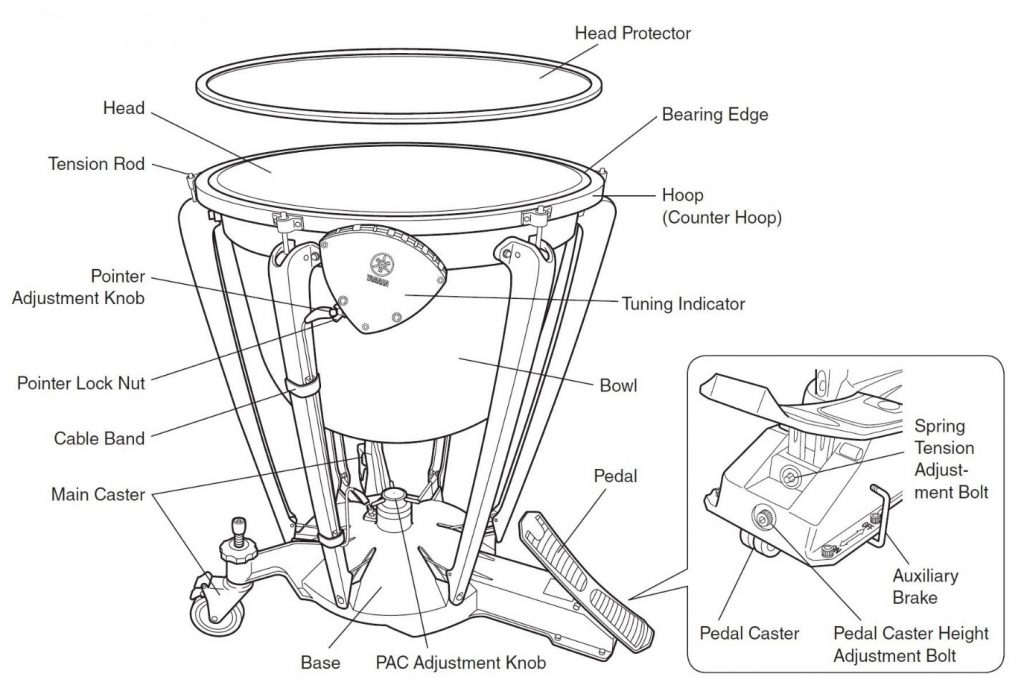timpani anatomy body image Annotated graphic indicating specific parts of a timpani kettle drum.