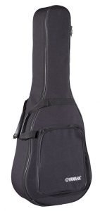 Soft shell case, known as a gig bag.