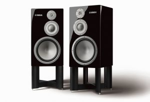 Pair of floor speakers on stands.