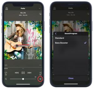 Patio-Now-Playing-Sally-side-by-side Music app in use.