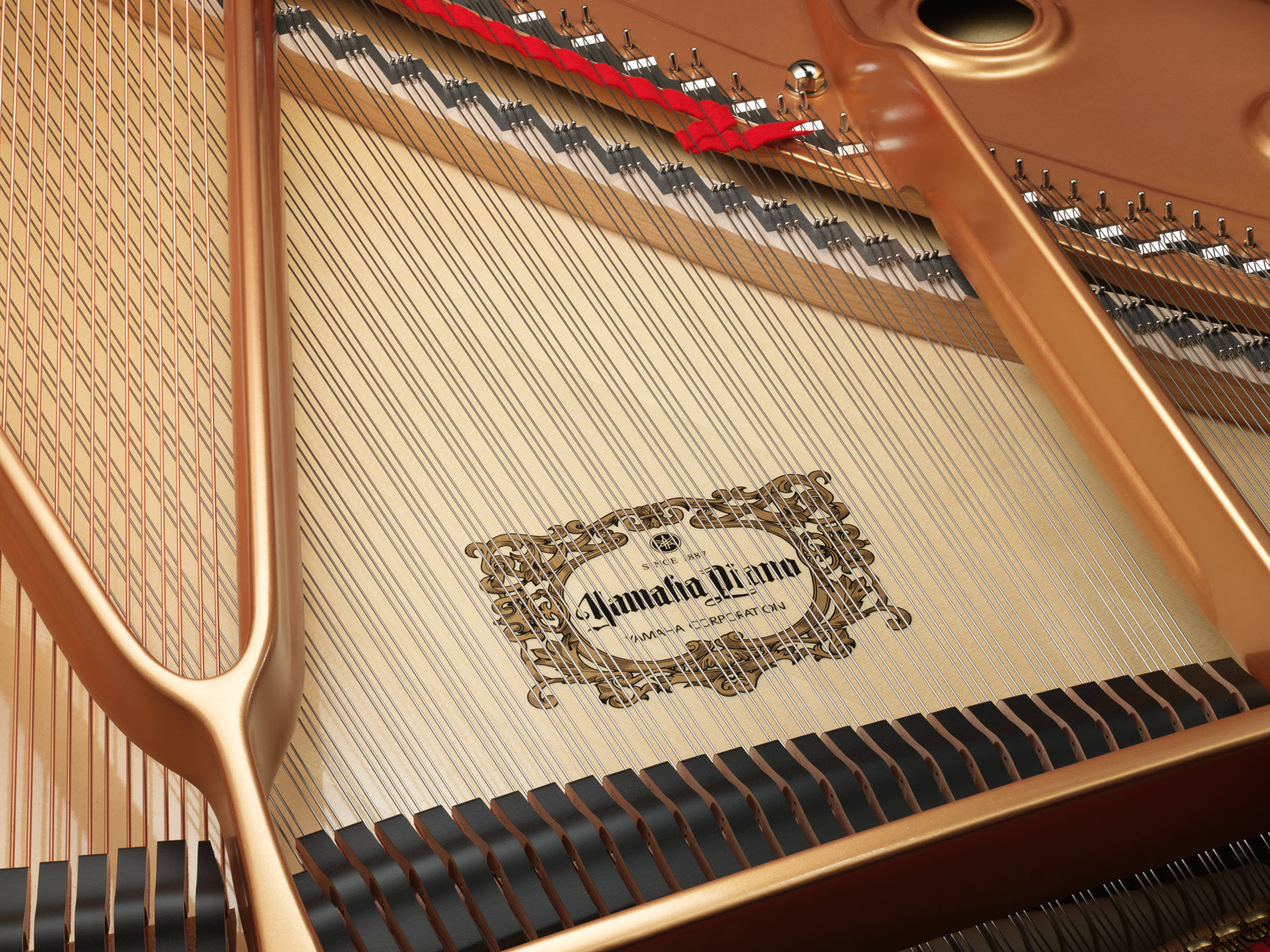 Soundboard-1800 Closeup of a soundboard with the Yamaha logo visible beneath the strings.