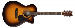 An acoustic guitar.