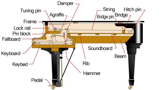 Piano-parts Cross-sectional diagram of a grand piano with specific parts identified and labeled.