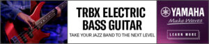 The TRBX Electric Bass Guitar can take your jazz band to the next level.