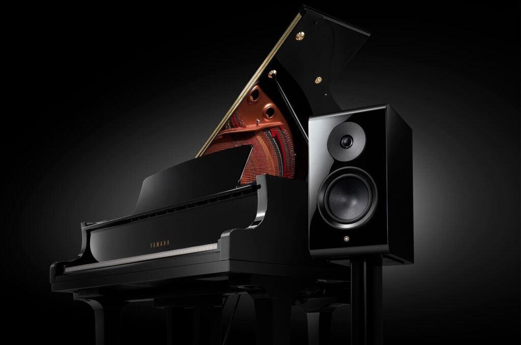 A piano and a speaker.