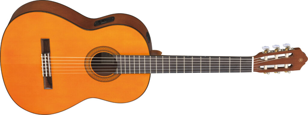 An acoustic guitar.