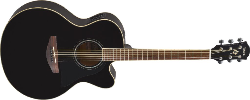 An acoustic guitar.