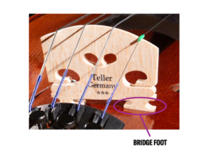 closeup of violin bridge