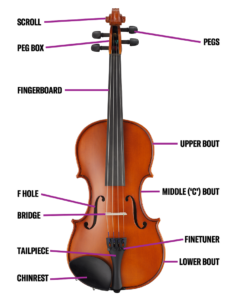 parts of a violin labeled