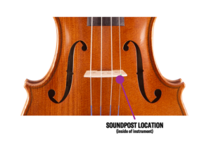 closeup of violin soundpost